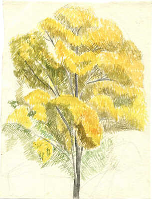 Дорфман Елизавета Григорьевна. Дерево